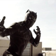 Black Panther in Captain America: Civil War